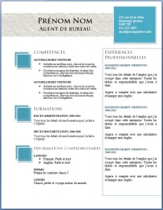 exemple_de_cv_699