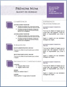 exemple_de_cv_700