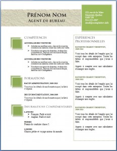 exemple_de_cv_701