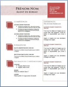 exemple_de_cv_702