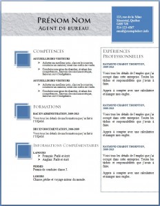 exemple_de_cv_703