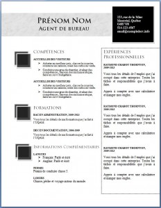 exemple_de_cv_704