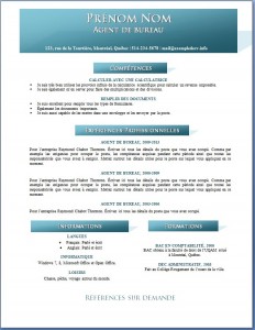 exemple_de_cv_713