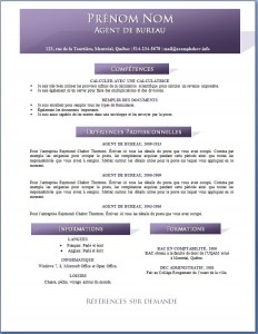 exemple_de_cv_714