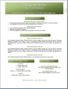 exemple_de_cv_715