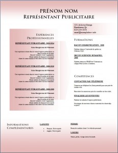 Exemple de CV #776