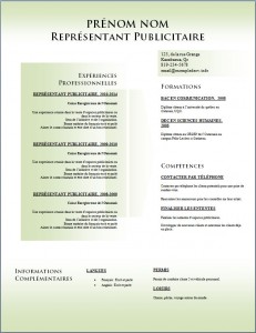 Exemple de CV #777