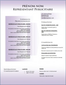 Exemple de CV #778