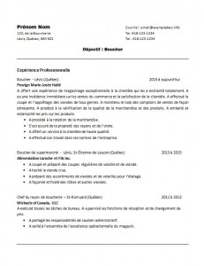 curriculum_vitae_de_boucher_page1